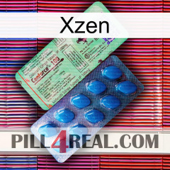 Xzen new02